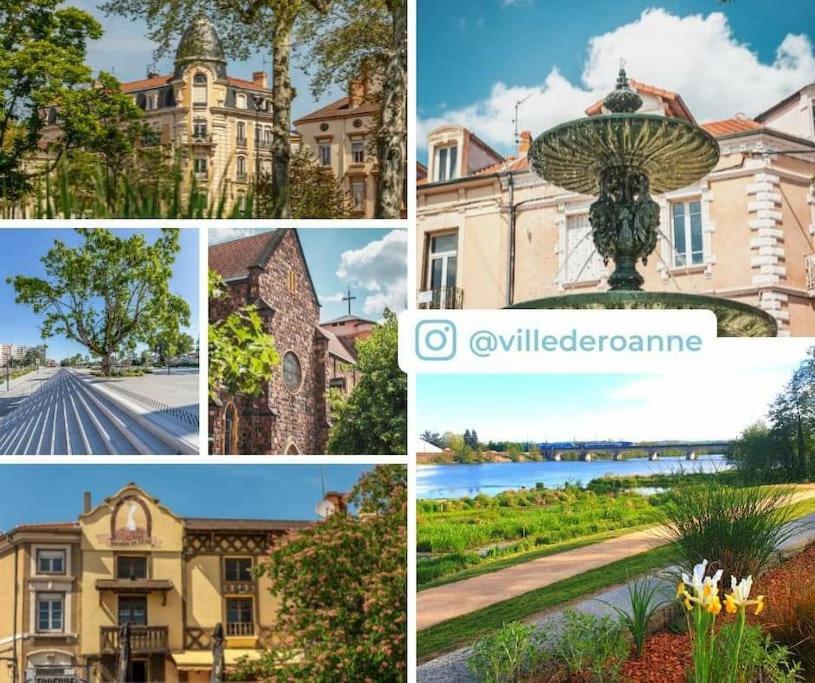Studio Sympa Avec Petit Dejeuner Entre Canal Et Loire Роанн Екстер'єр фото